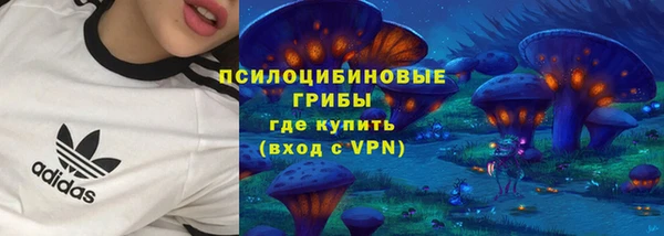 spice Алексин