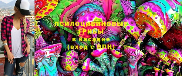spice Алексин