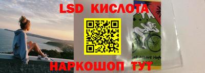 гашик Гатчина