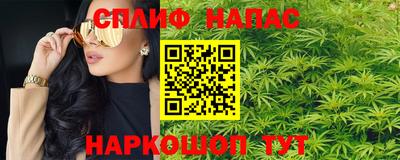 гашик Гатчина
