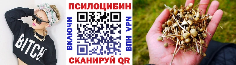 маркетплейс как зайти  Нижний Новгород  Галлюциногенные грибы мухоморы 