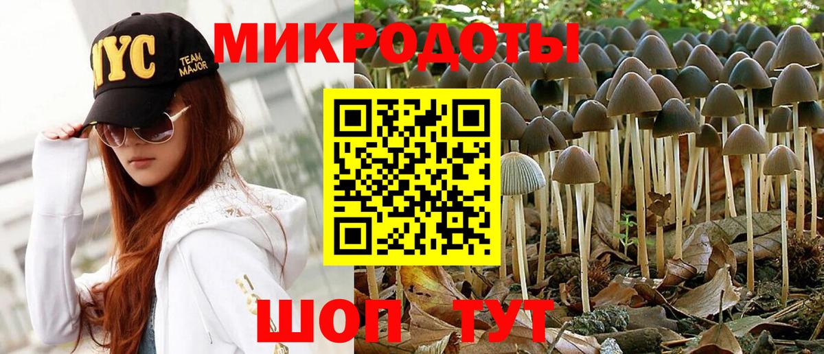 Галлюциногенные грибы GOLDEN TEACHER  Вход с VPN  магазин    Нижний Новгород 