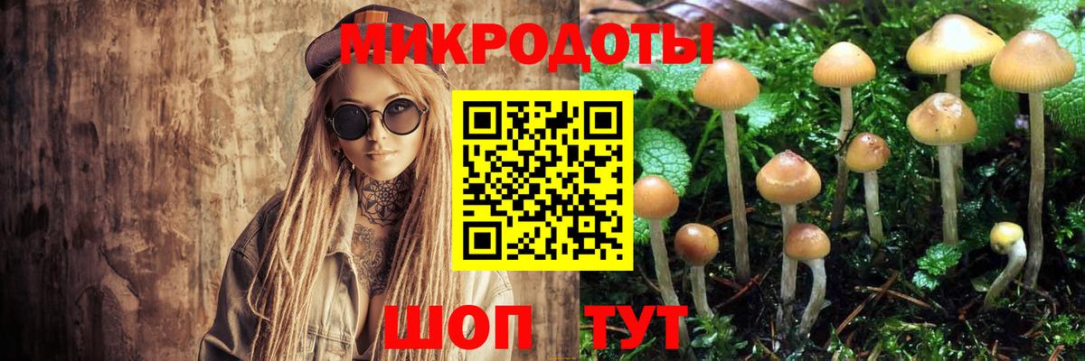 Псилоцибиновые грибы мухоморы Нижний Новгород