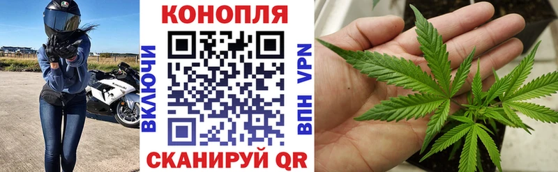дарк нет клад Нижний Новгород Марихуана семена где найти наркотики